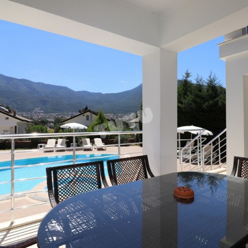 Villa Tuyu 10-60 / Olympia