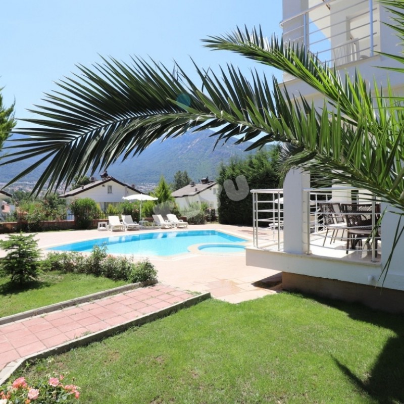 Villa Tuyu 10-60 / Olympia