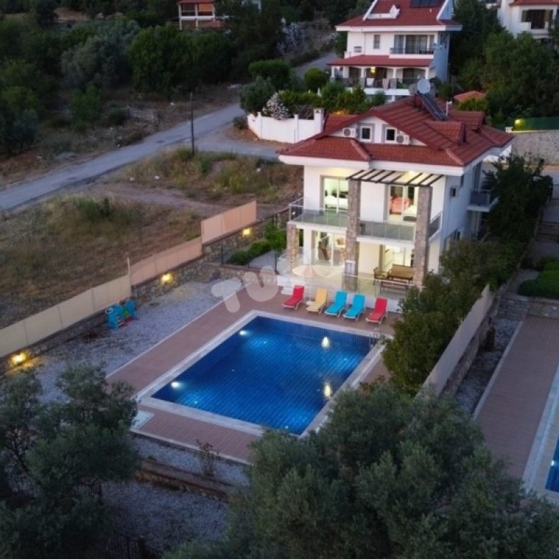 Villa Tuyu 10-57 / Lemon 2