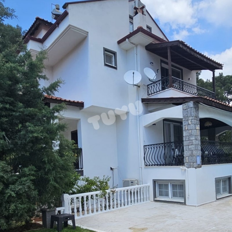 Villa Tuyu  10-64 / Pine