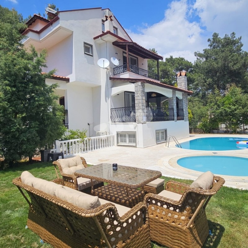 Villa Tuyu  10-64 / Pine