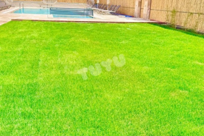 Tuyu apart Amour 2