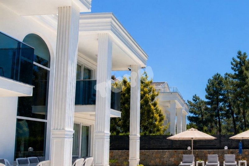 Villa Tuyu 10-45 / Diva